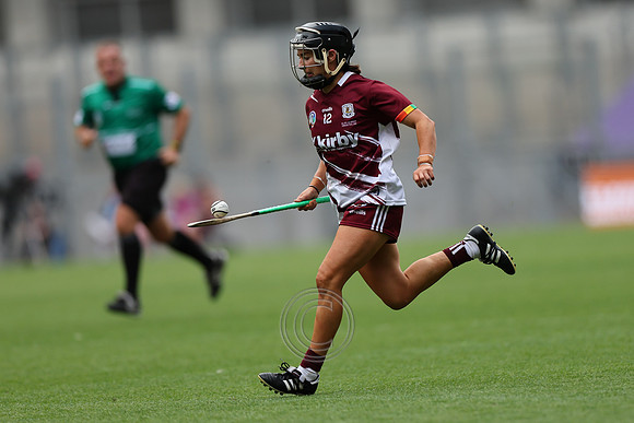 CORCAIGH GAILLIMH 2026-0469