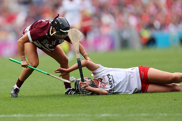 CORCAIGH GAILLIMH 2026-0495