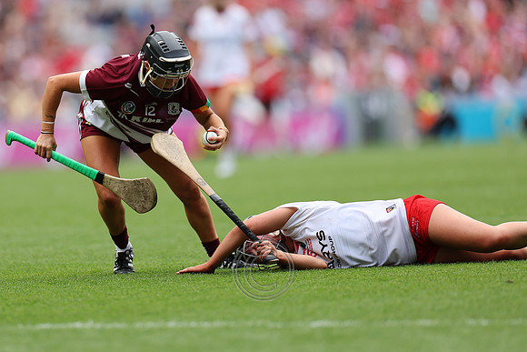 CORCAIGH GAILLIMH 2026-0500