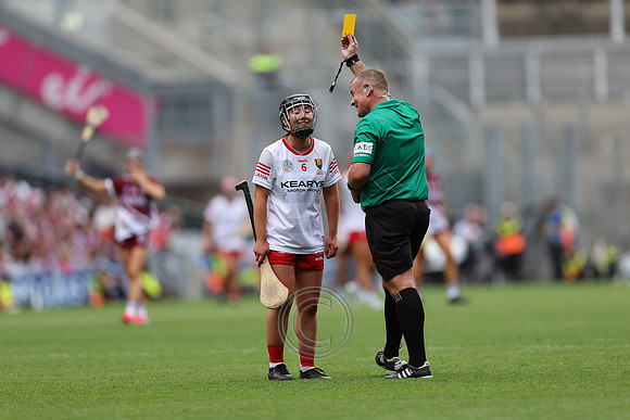 CORCAIGH GAILLIMH 2026-0542