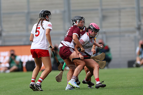 CORCAIGH GAILLIMH 2026-0596