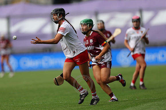 CORCAIGH GAILLIMH 2026-0718