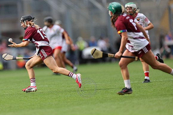 CORCAIGH GAILLIMH 2026-0747