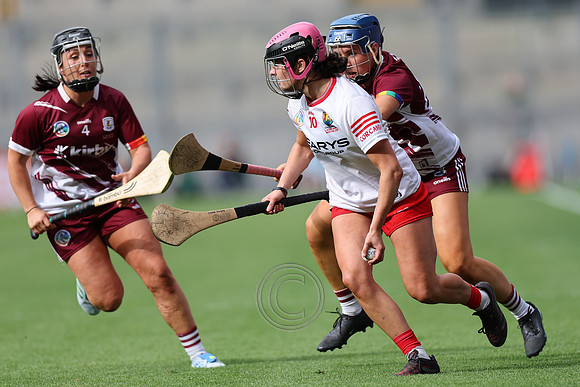 CORCAIGH GAILLIMH 2026-0738