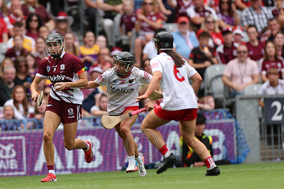 CORCAIGH GAILLIMH 2026-0775