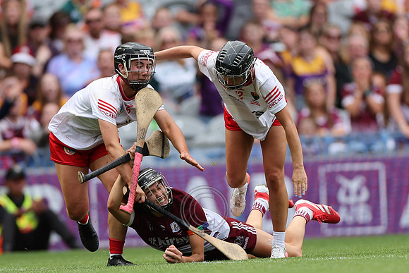 CORCAIGH GAILLIMH 2026-0789
