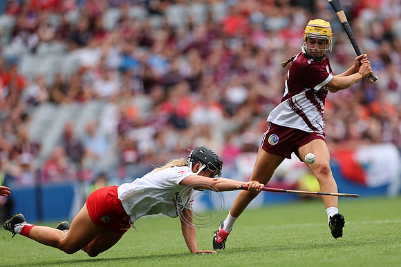 CORCAIGH GAILLIMH 2026-0832