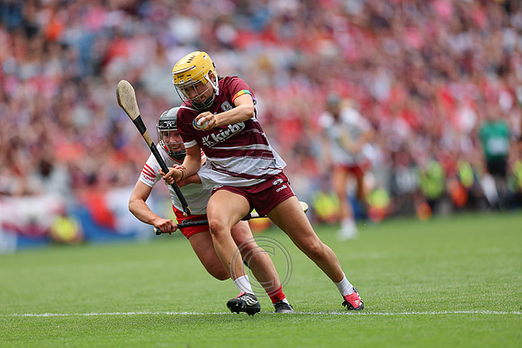 CORCAIGH GAILLIMH 2026-0849