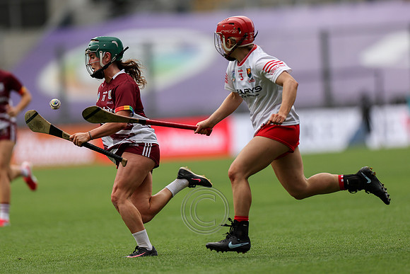 CORCAIGH GAILLIMH 2026-0944