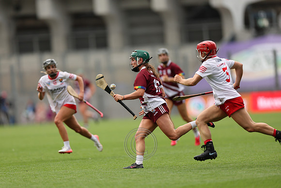 CORCAIGH GAILLIMH 2026-0950