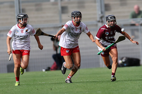 CORCAIGH GAILLIMH 2026-1051