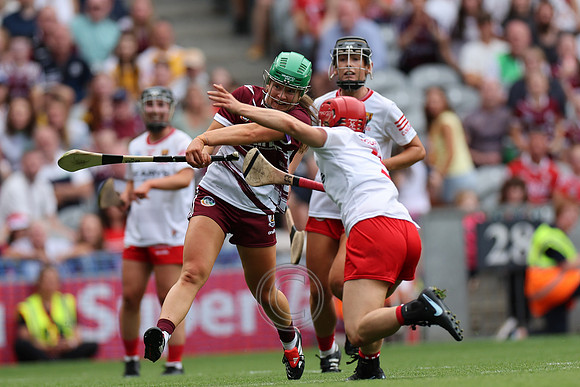 CORCAIGH GAILLIMH 2026-0973