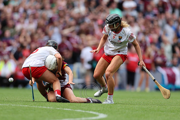 CORCAIGH GAILLIMH 2026-1415