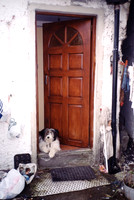 Door_Rock