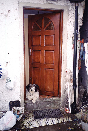 Door_Rock