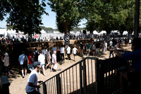 goodwood thursday 2026-1000124