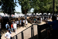 goodwood thursday 2026-1000123