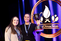 OIREACHTAS NA GAEILGE 2024