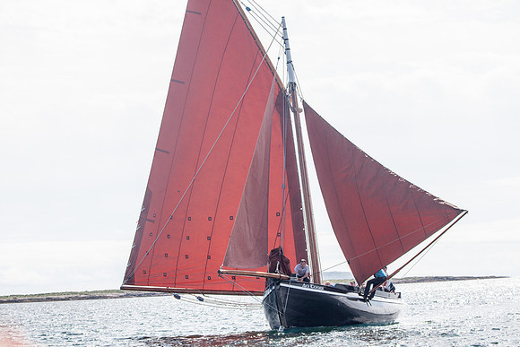 Féile_CnaRón2_14-8409