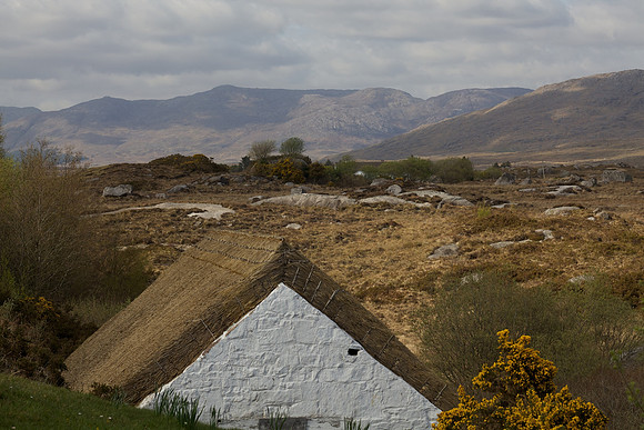 PearseCottage 519