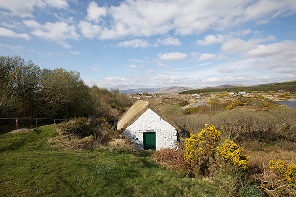 PearseCottage 501