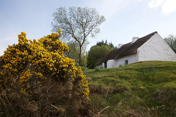 PearseCottage 516