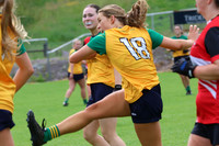 CLANN NA nGAEL V N FIONNBARRA-9
