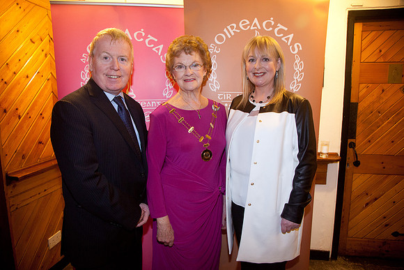 BLÁTHNAID Ó BRÁDAIGH INSEALBHÚ 2013