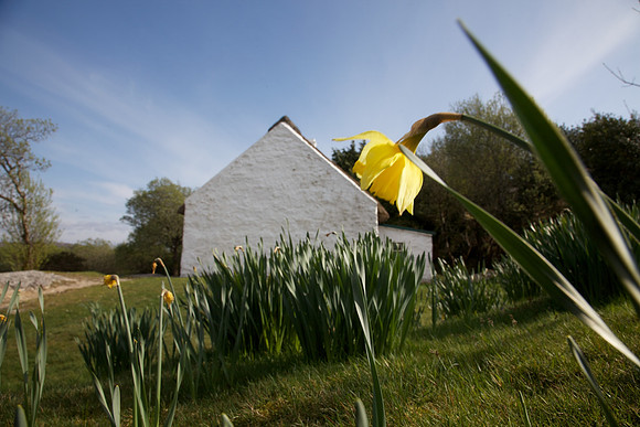 PearseCottage 510