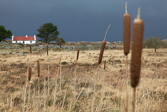 Cottage_2012-02-12