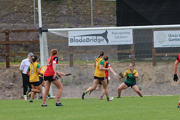 CLANN NA nGAEL V N FIONNBARRA-171