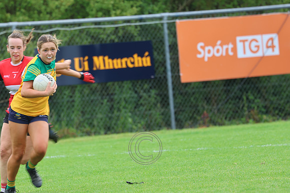 CLANN NA nGAEL V N FIONNBARRA-284