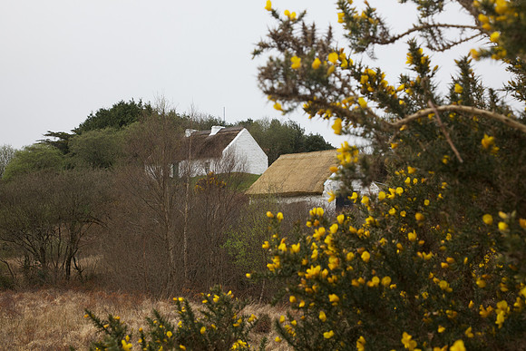 PearseCottage 172