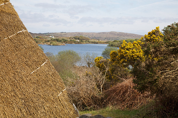 PearseCottage 495
