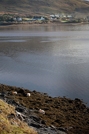 LeenaneSnow16-0996