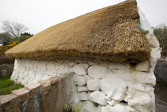 PearseCottage 169