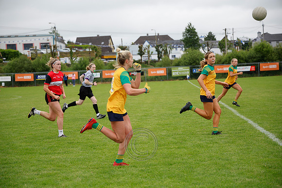 CLANN NA nGAEL V N FIONNBARRA-464