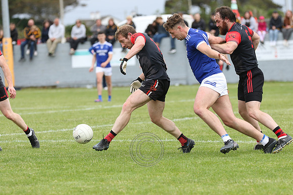 COMÓRTAS LUAN-0785