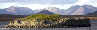 Crannog