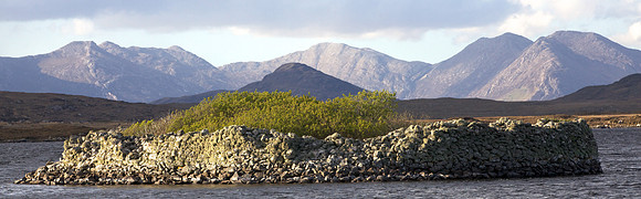Crannog