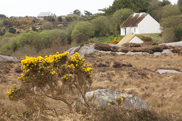 PearseCottage 143