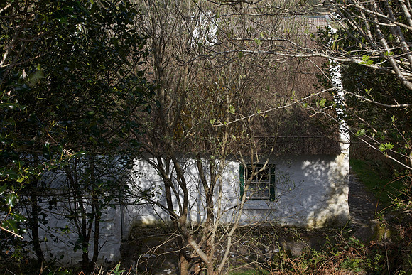 PearseCottage 511