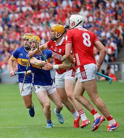 TIPP V CORK PLAY-0394