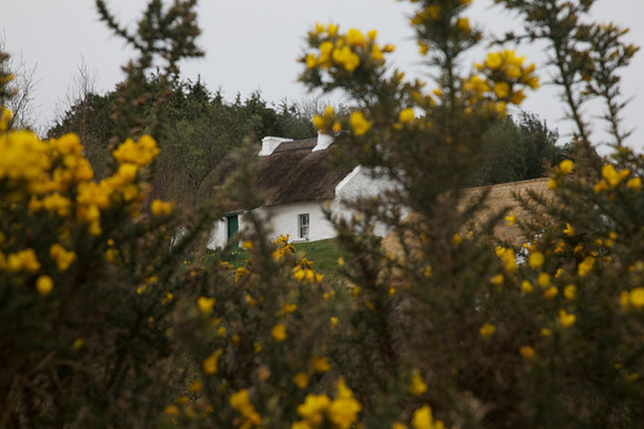 PearseCottage 171