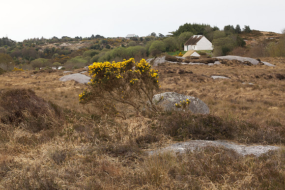 PearseCottage 144