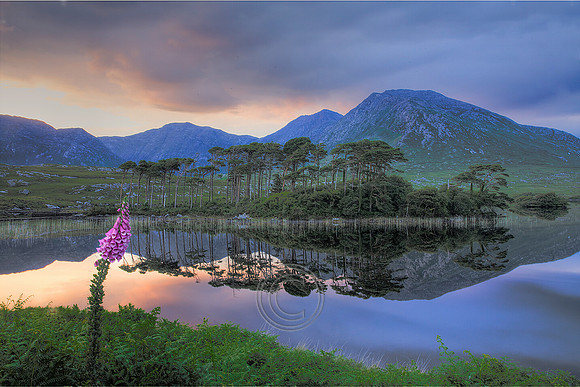 Derryclare24x16
