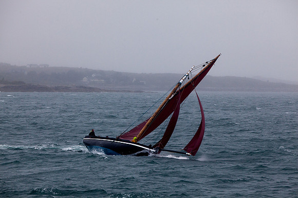 FéileRosamhil14_02-0143