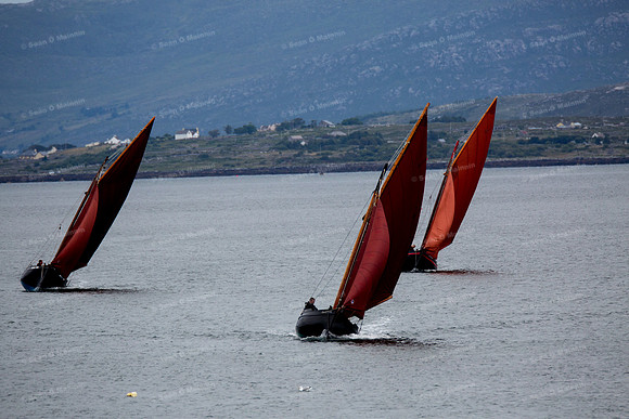 FéileCillChiaráin16-0050