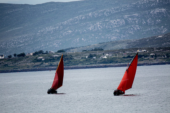 FéileCillChiaráin16-0020
