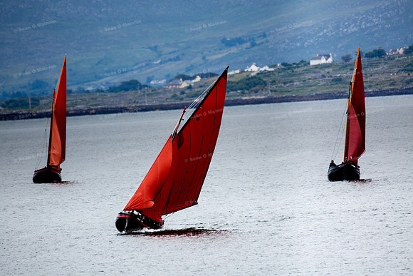 FéileCillChiaráin16-0027